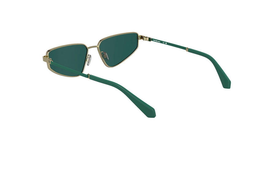 Γυαλιά Ηλίου Calvin Klein CKJ25200S 717