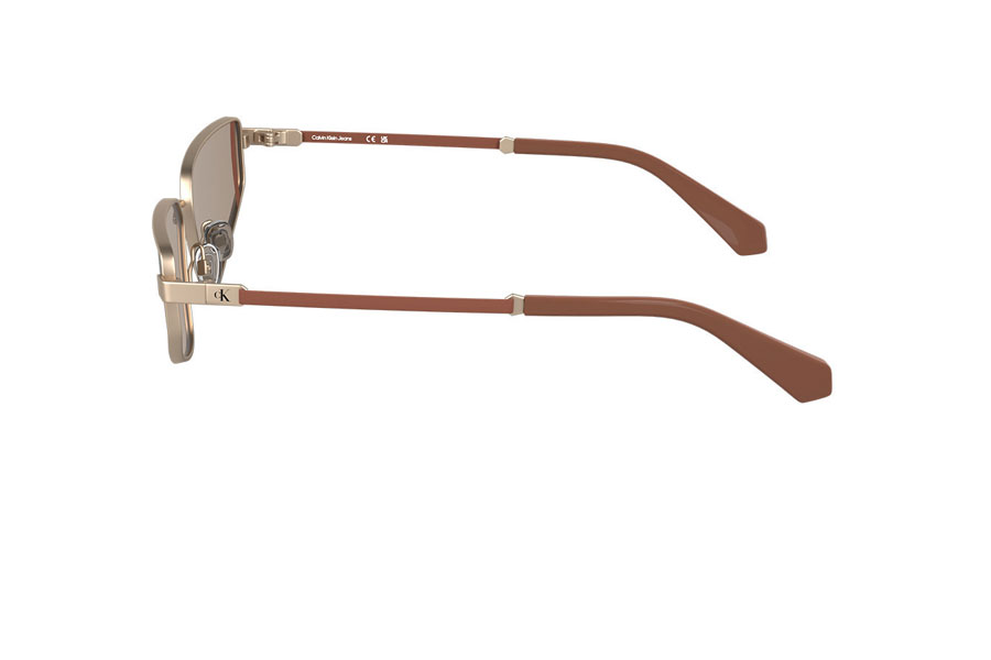 Γυαλιά Ηλίου Calvin Klein CKJ25200S 770